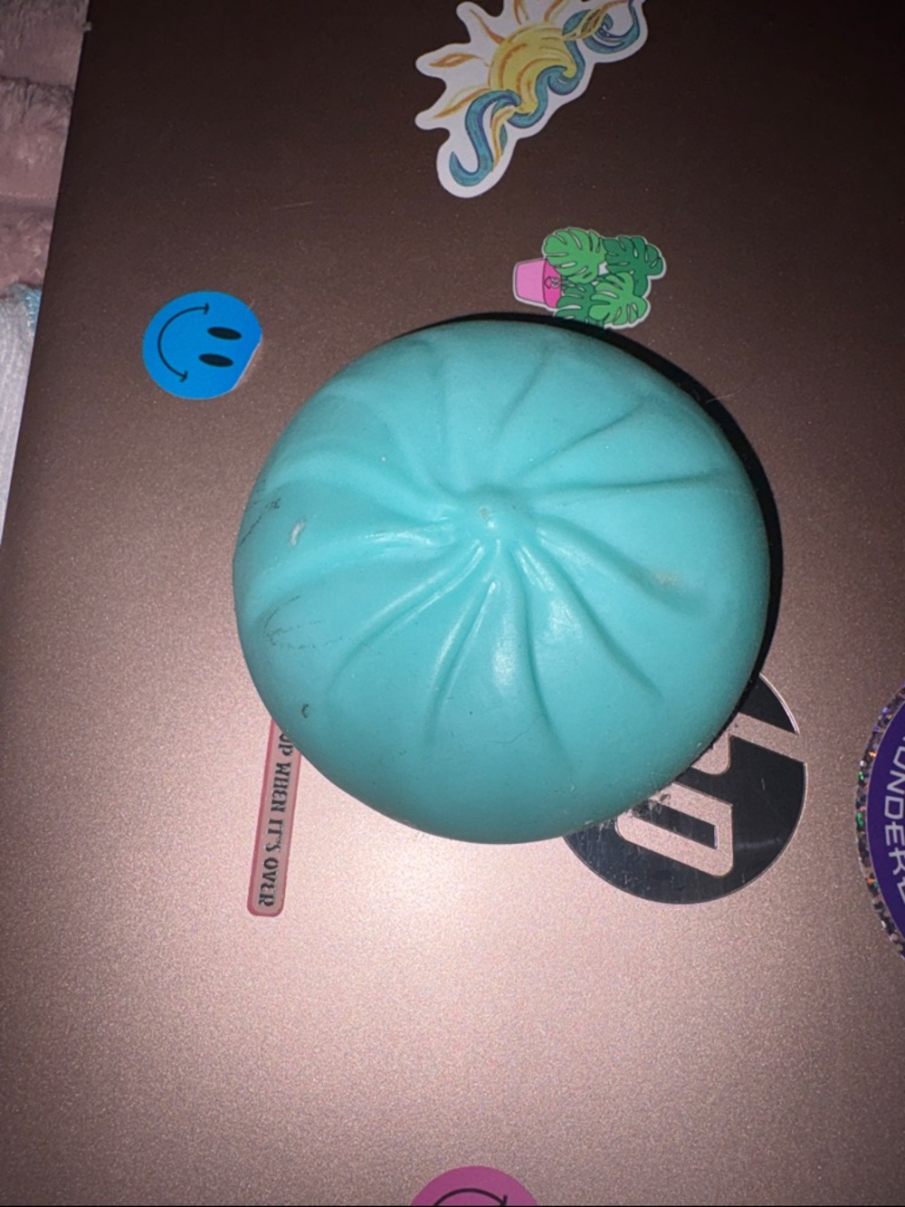 Turquoise Soft Squishy Bun Stress Toy